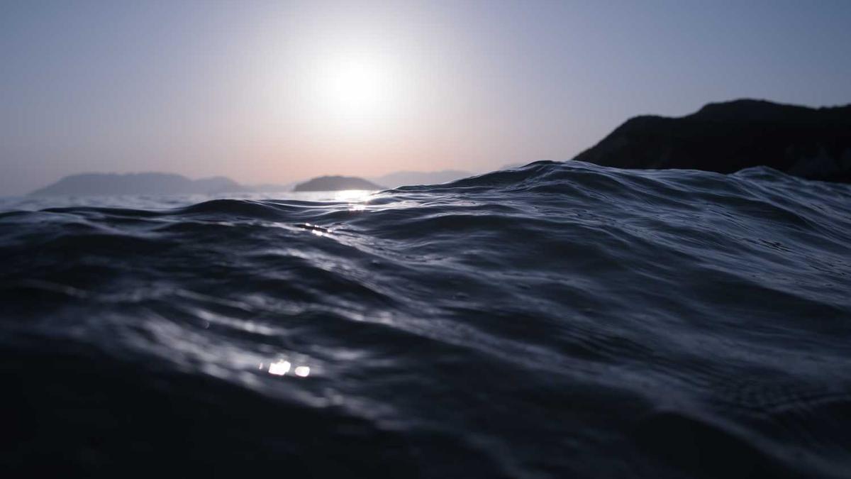 龙华在哪个省份