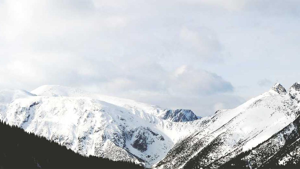 女用精油是干嘛的