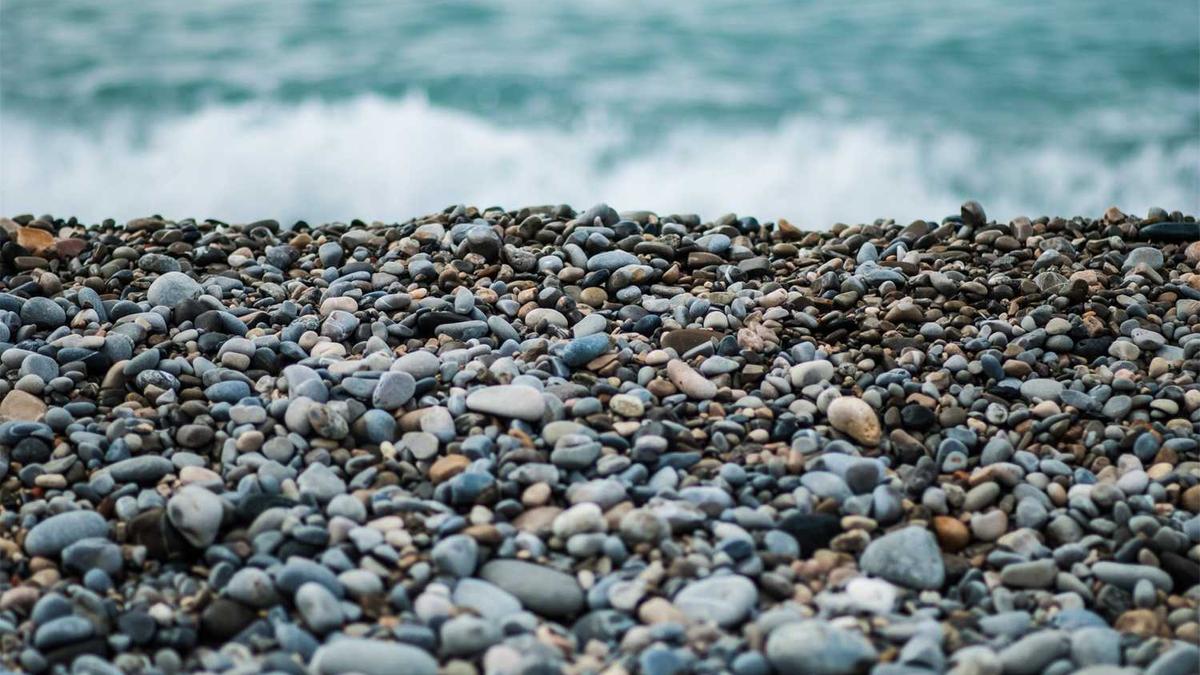 西凤酒10万吨优质基酒生产及配套项目成为最大亮点