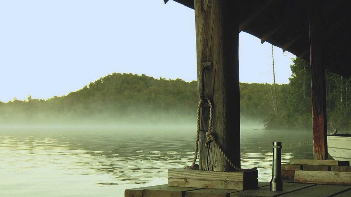 2024年,洛阳的人口数量统计结果是多少?