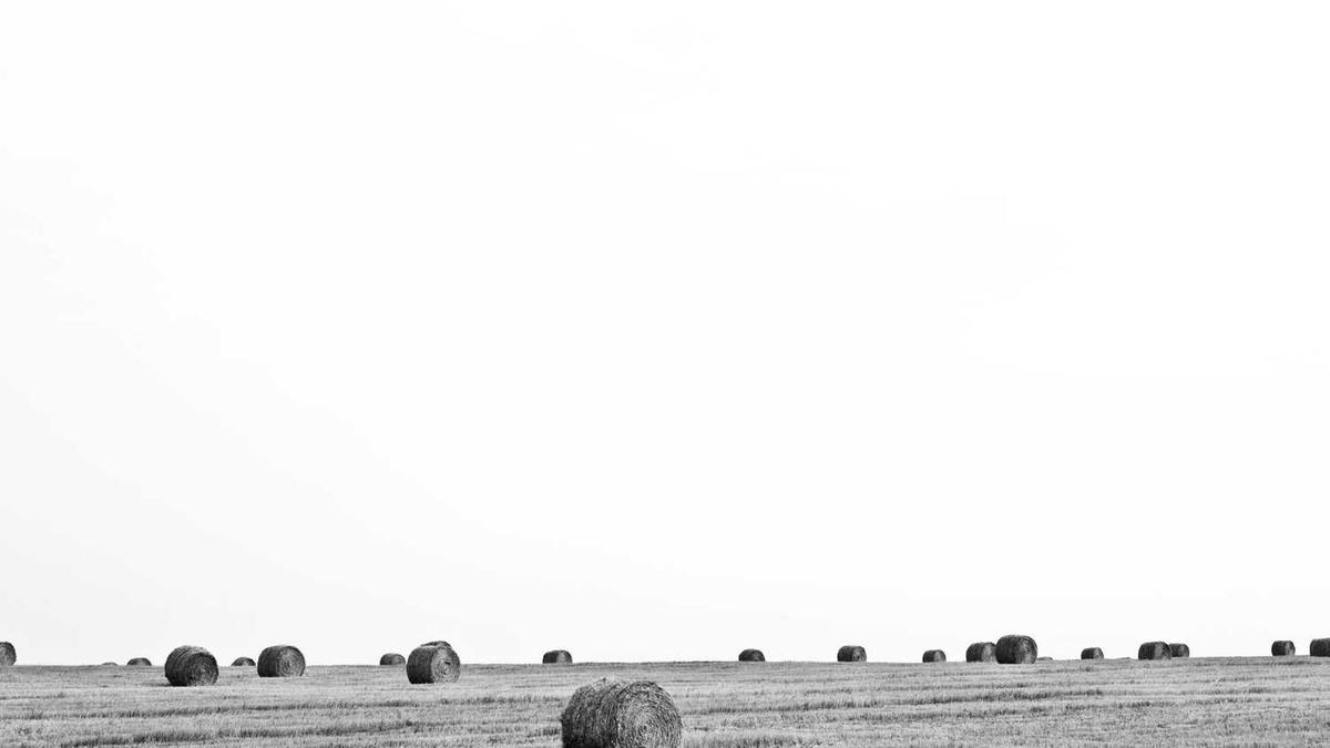 考重庆交通大学的研究生怎么样