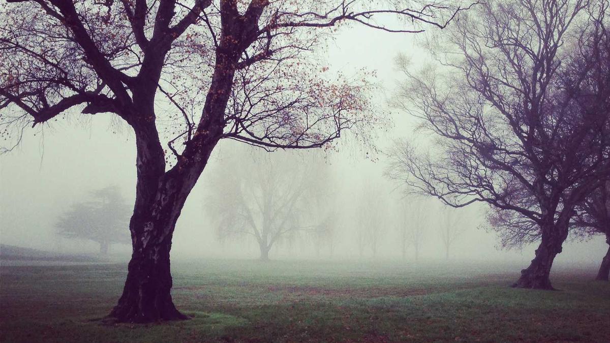 微博吃瓜的超话有哪些