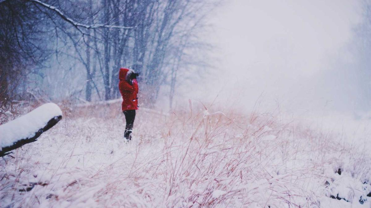 徐州最近三天天气情况