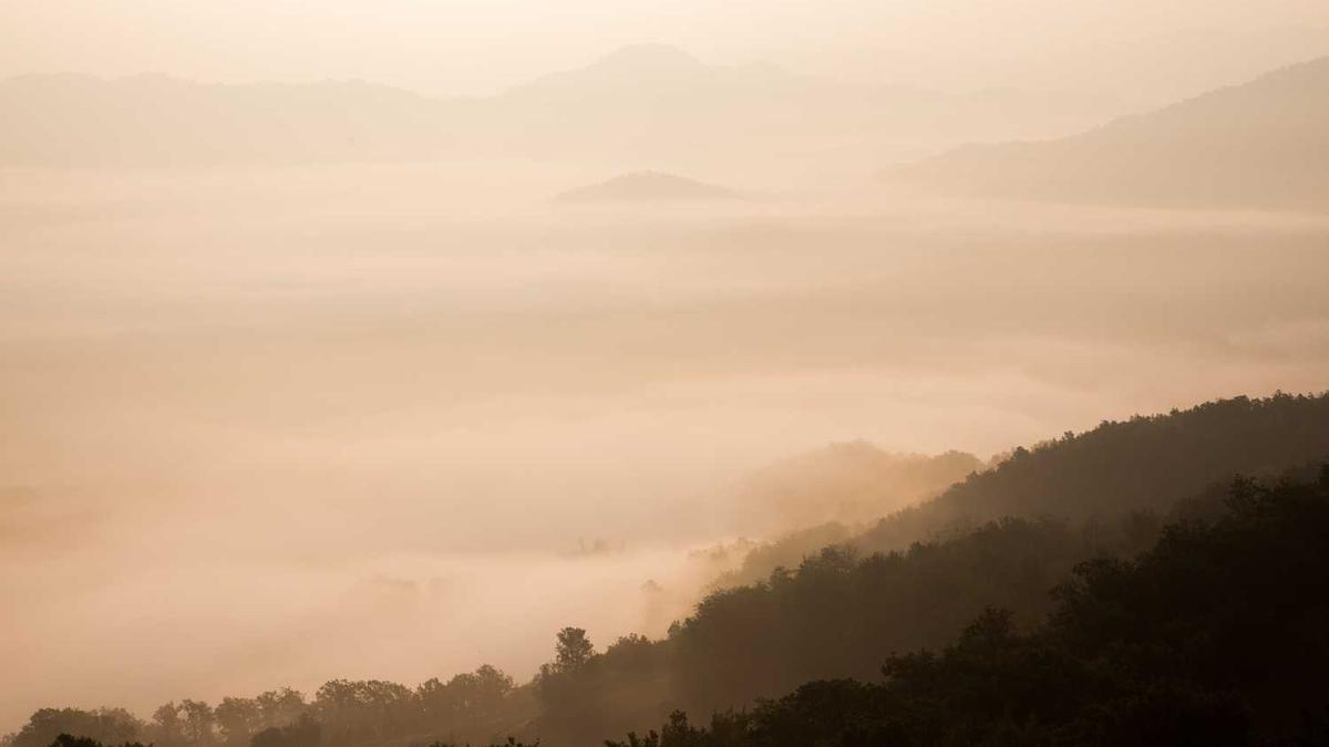 朝阳科技是什么板块