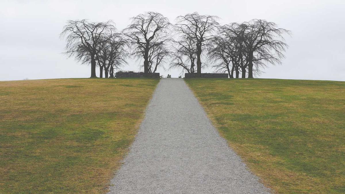 迟志强为什么坐牢?