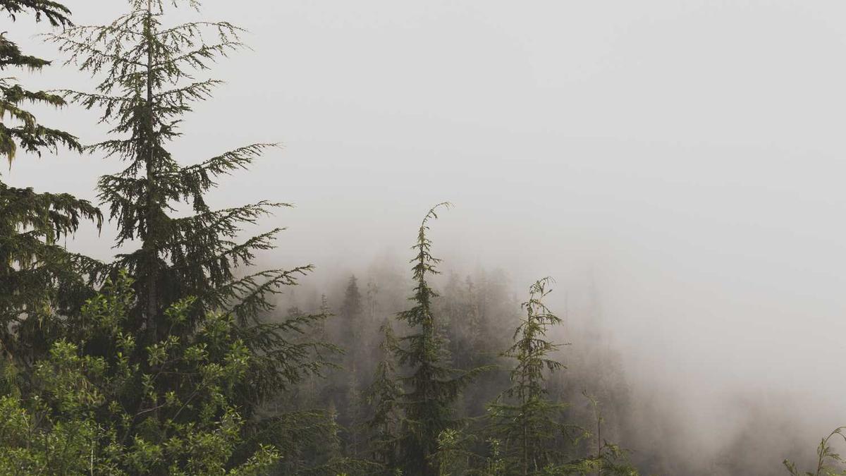 鼓浪屿旅游攻略自由行攻略