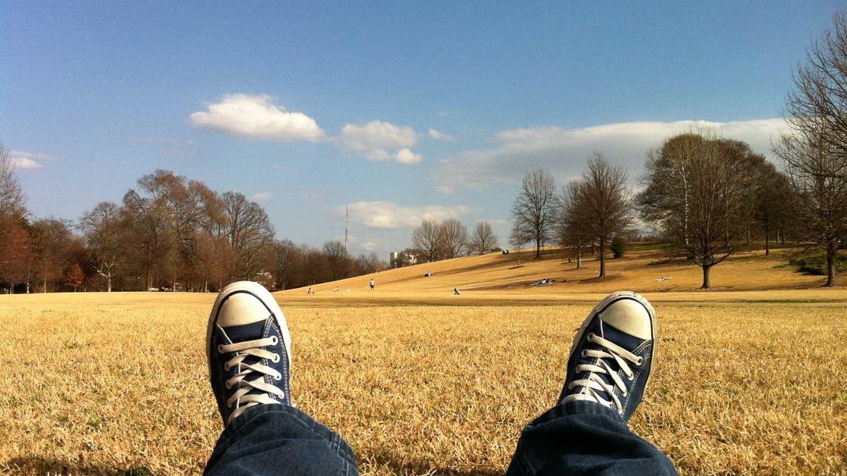 贵州省物业服务领域的集中整治方案