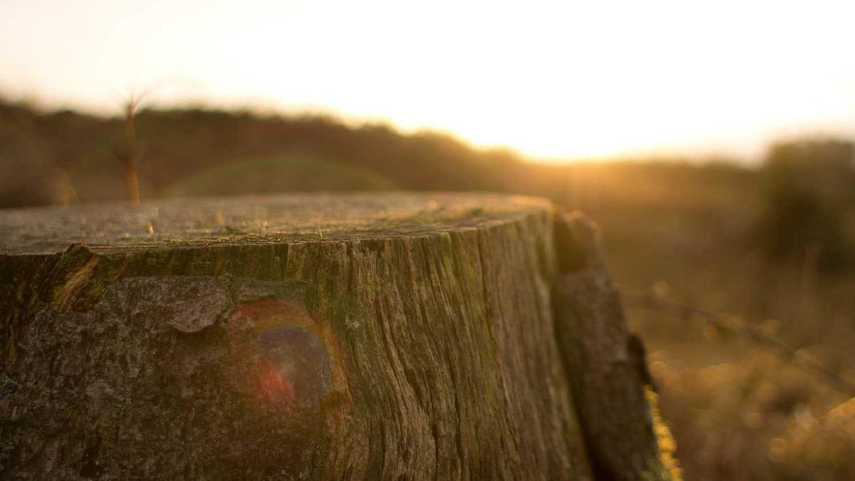 从嘉兴去上海海梅赛德斯-奔驰文化中心具体怎么坐?