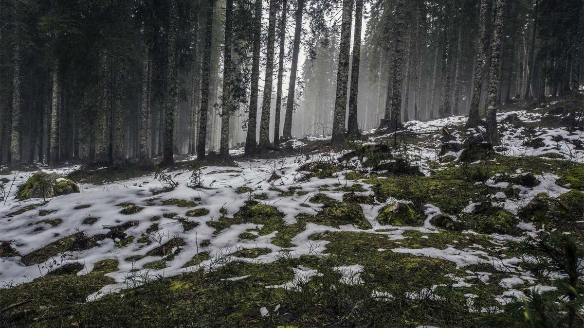 葫芦岛市11路公交车时间表