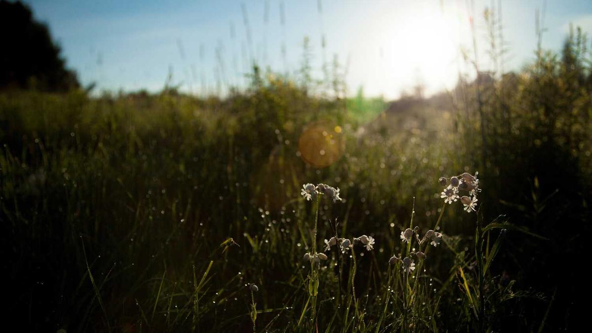 湖南株洲的旅游景点有哪些