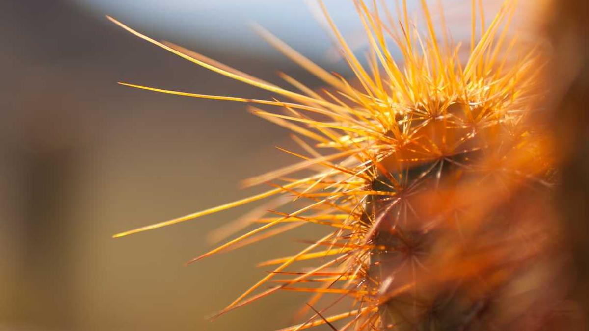 微信怎么搭讪开场白