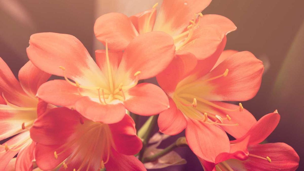 中国哪些城市雨多