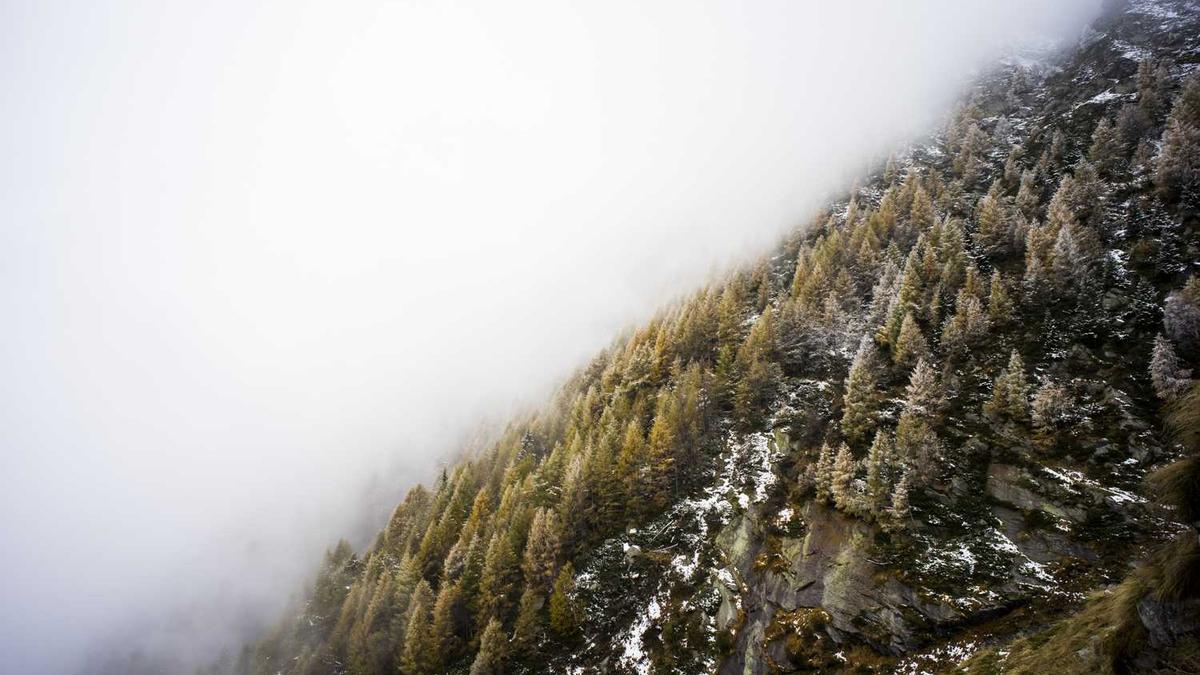 2025苏州哪个小区值得买