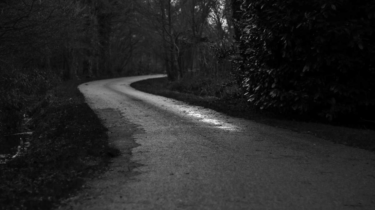 芜湖市柳春园小学机器人有哪些名次