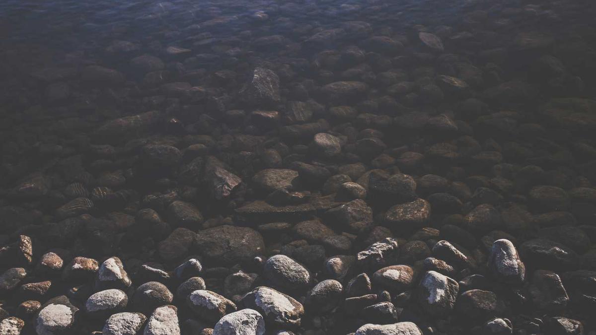 如何在小红书上找吃喝玩乐的地方?