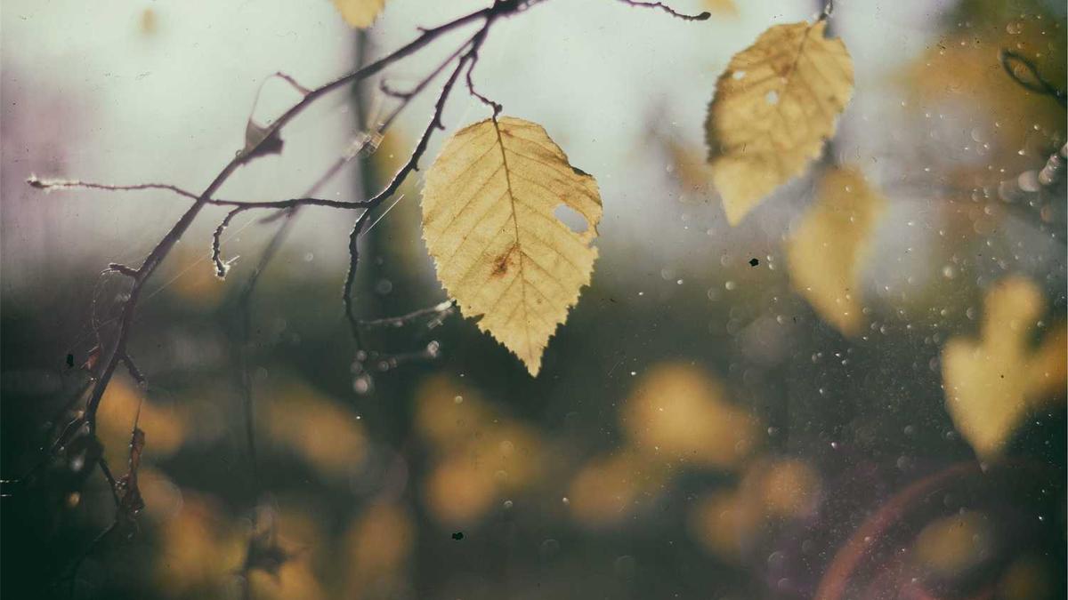 大学毕业第1次去大同