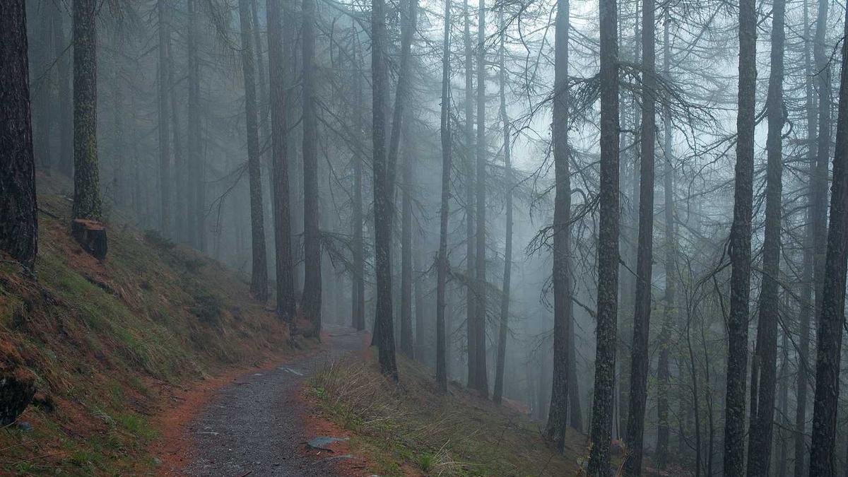 南昌大学(中外合作)是211吗