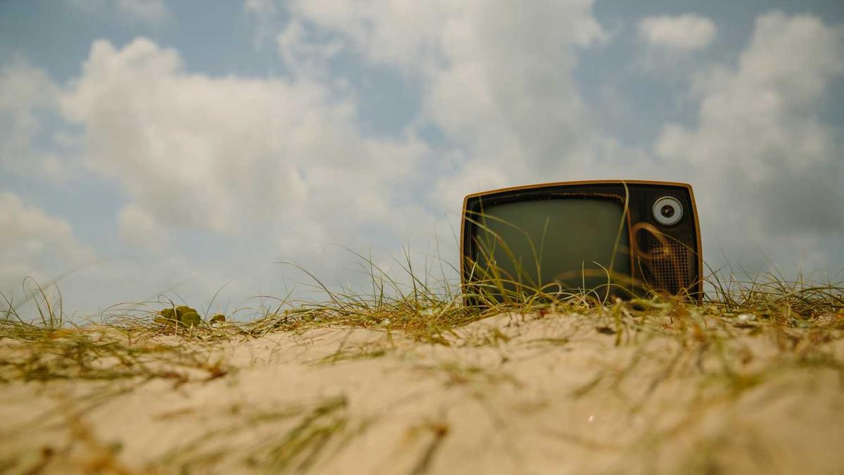 政审通过后单位会不公示吗