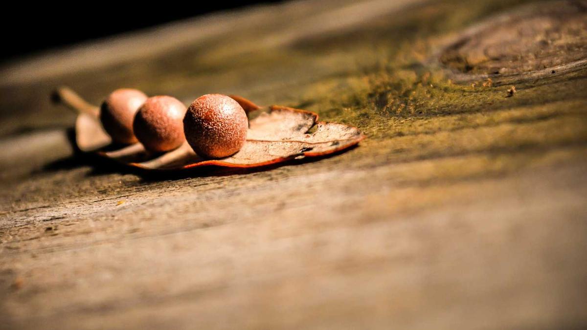 漯河王华的儿子叫什么