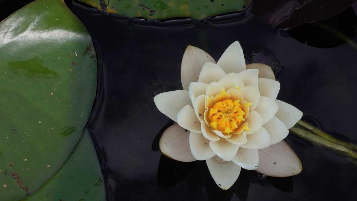 粉刷墙壁志愿者来帮忙