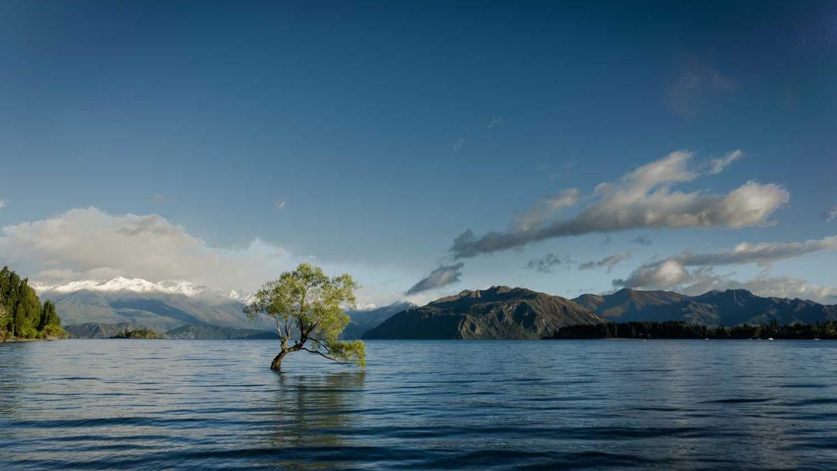 2025年十堰市退伍军人招工信息