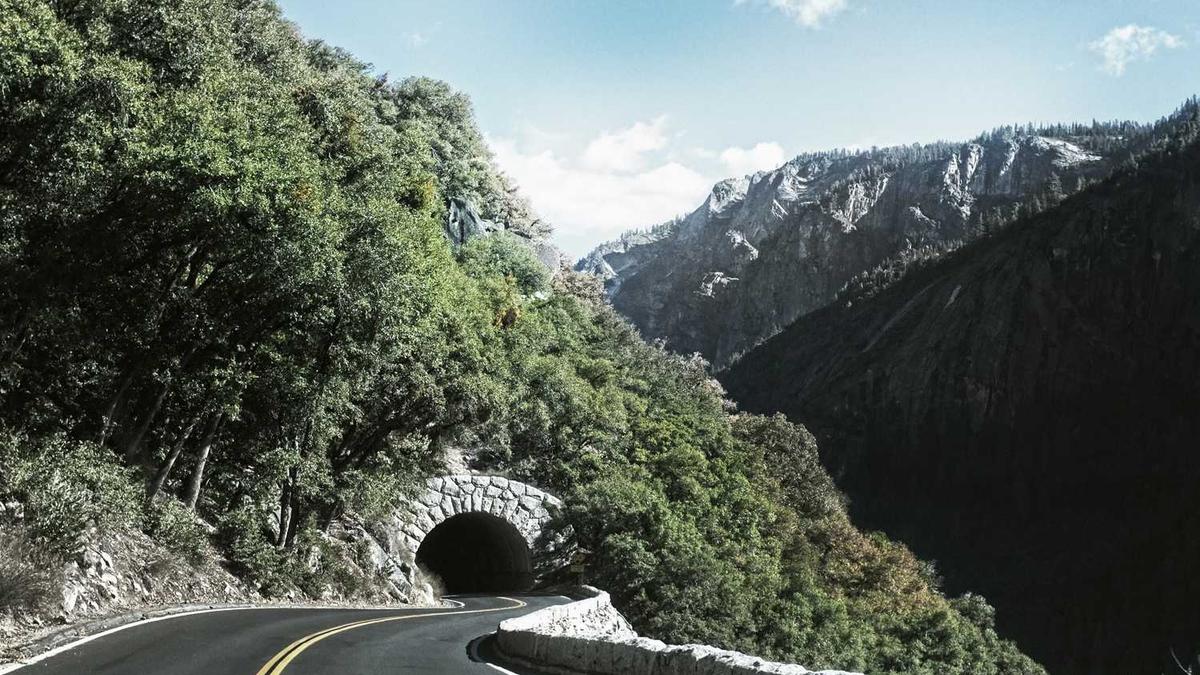 三联八价育苗都预防什么病