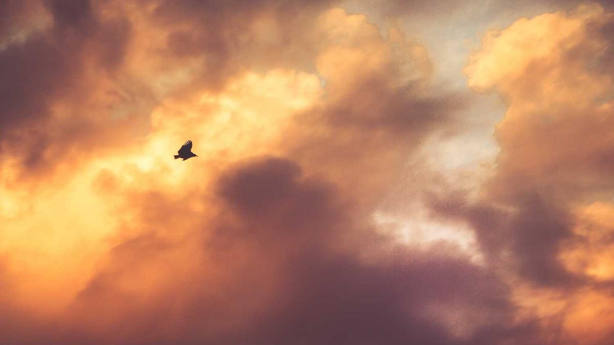 102-104!北京男篮轰然倒下,最后1秒遭绝杀,1大纪录遭终结