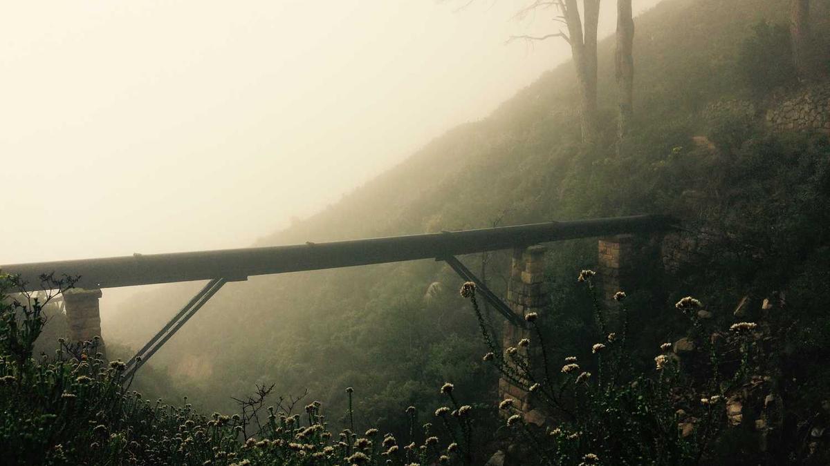 时隔23 年再夺冠,大连八中夺得全国青少年校园足球联赛冠军