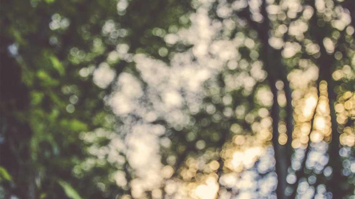 吉尔嘎朗到盖县多少公里