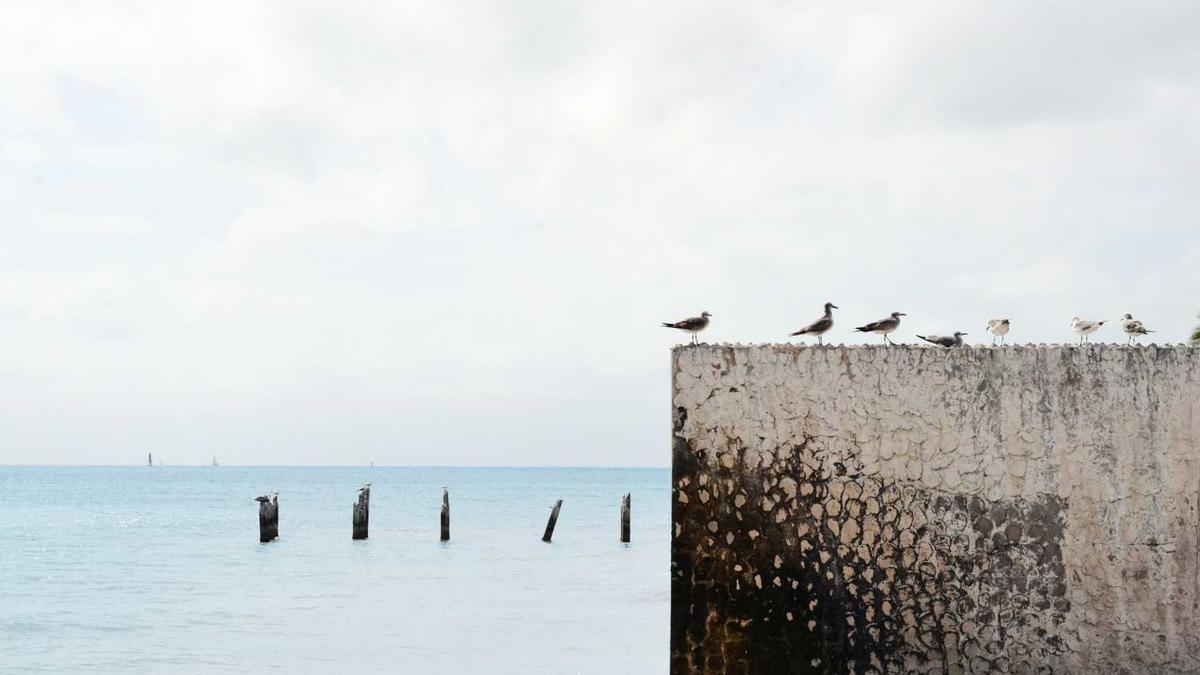 龙虎山十五天天气预报