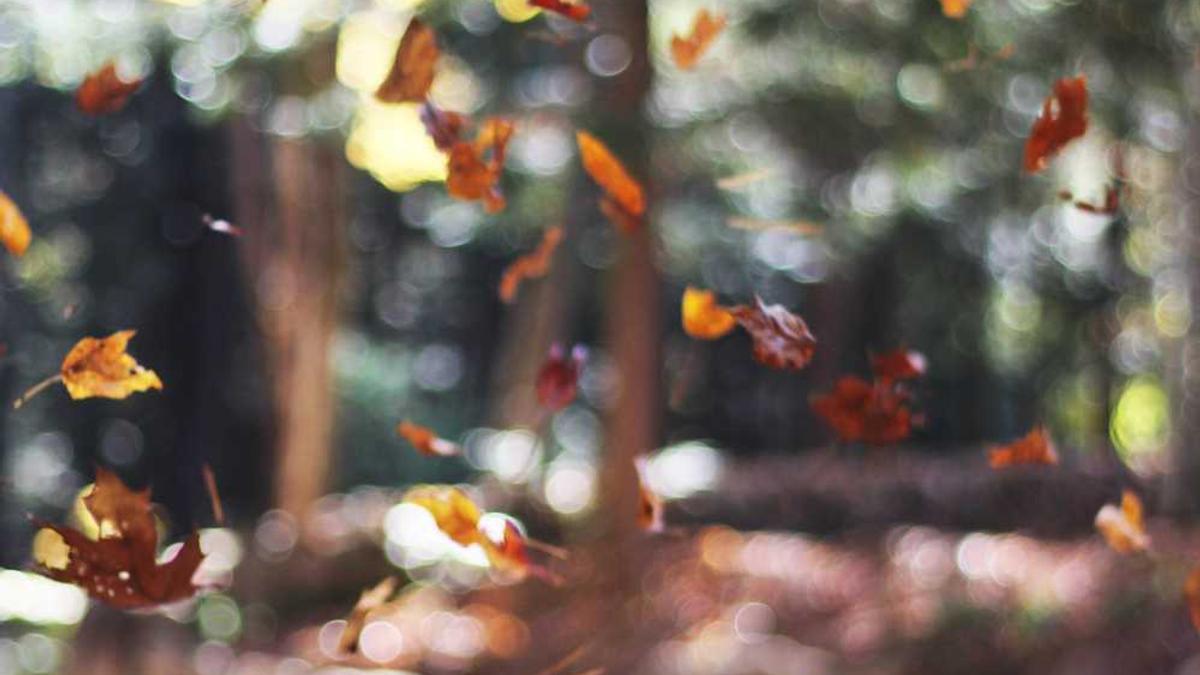 国际机票提前多久预订