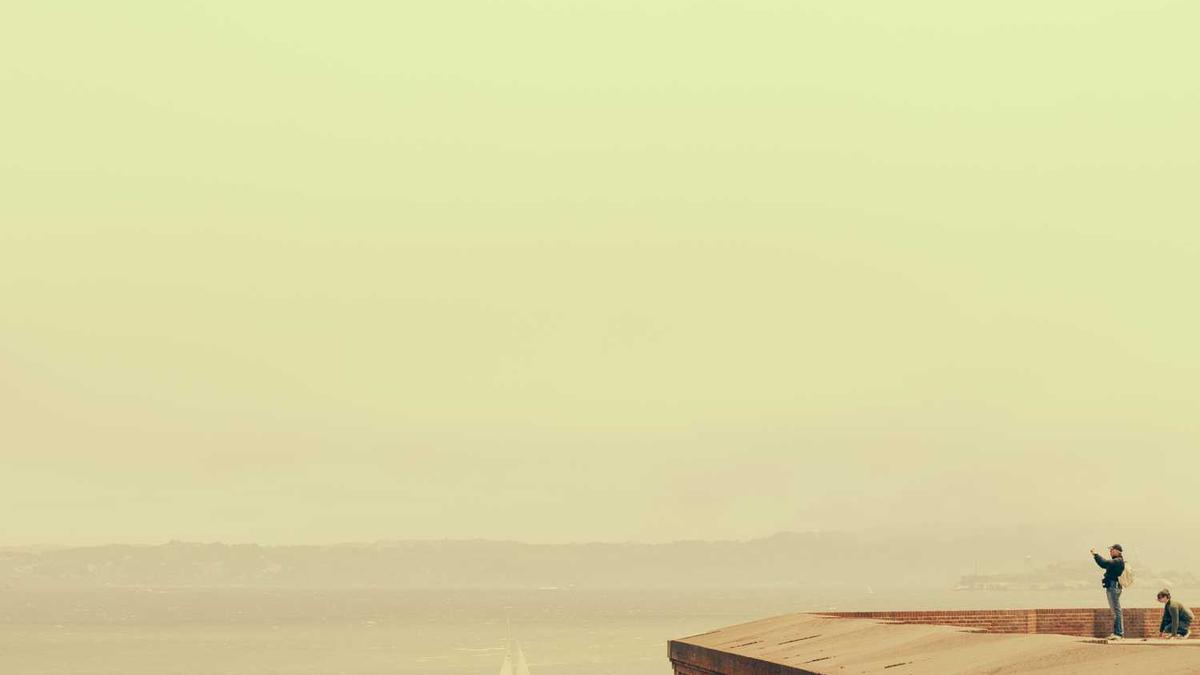 易春阳的个人履历