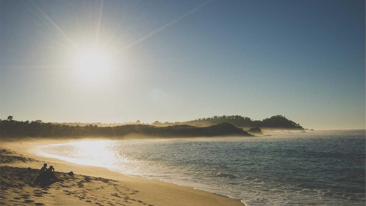 fpsa/spa是什么意思