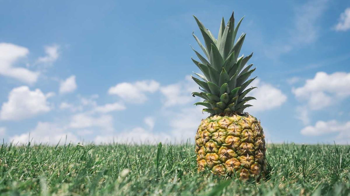 台州市临海市天气,台州市临海市天气预报12345