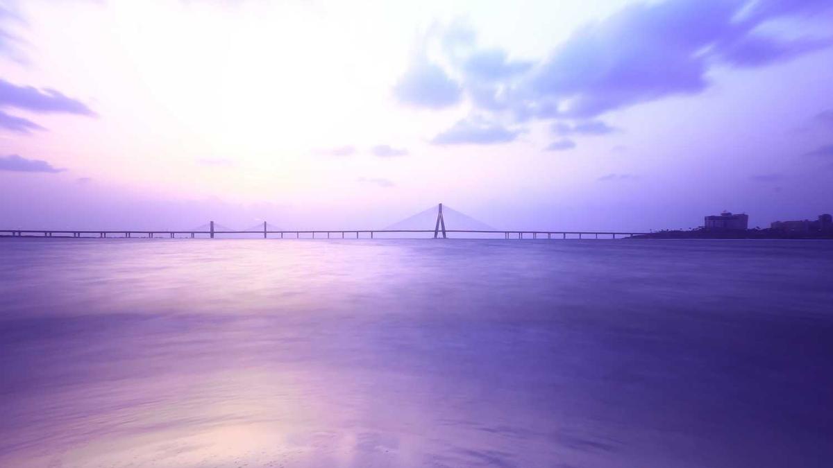 山东临沂警方通报“树拍”App案,要求投资人积极报案