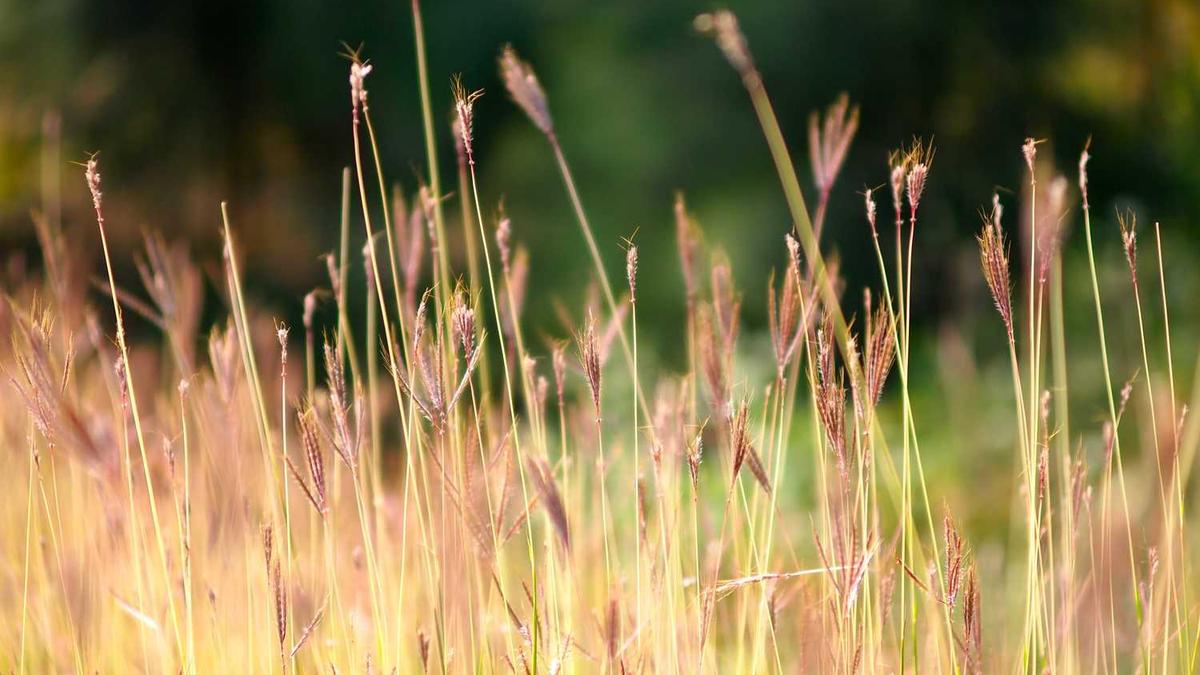 一边辟谣,一边松绑,暗流涌动的深圳楼市