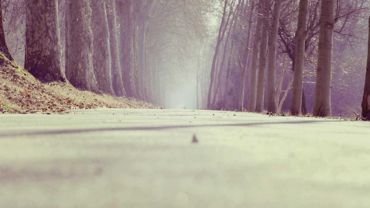 2014下半年四川内江市中区事业单位考试报名时间报名入口?