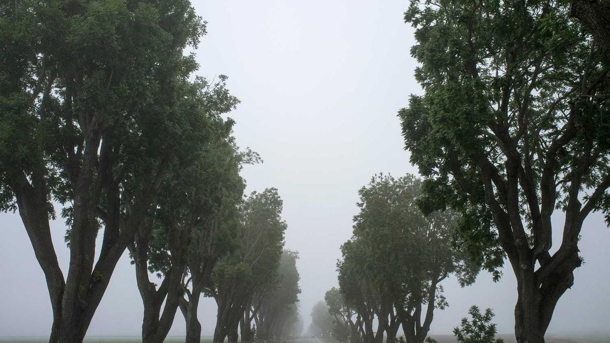 安庆的安庆名人