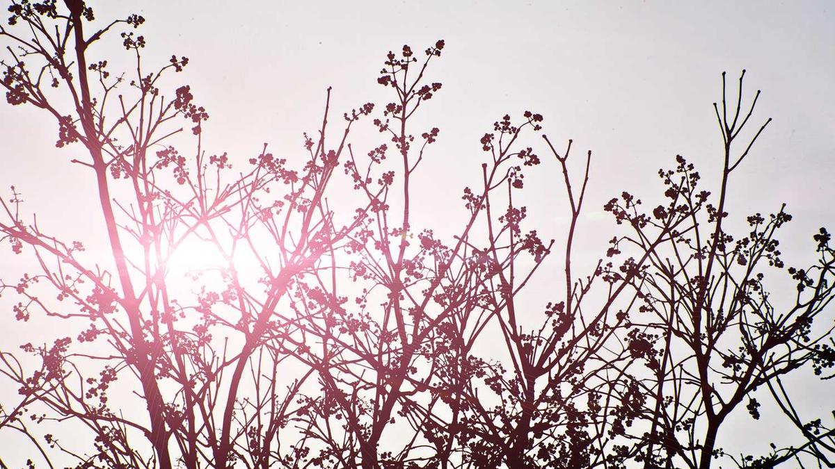 党的组织领域向新兴领域延伸