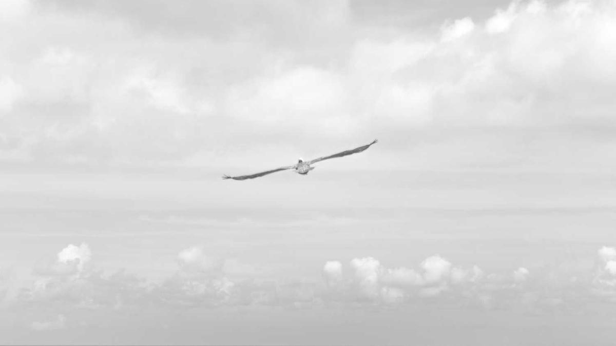 道路交通安全宣传活动简报