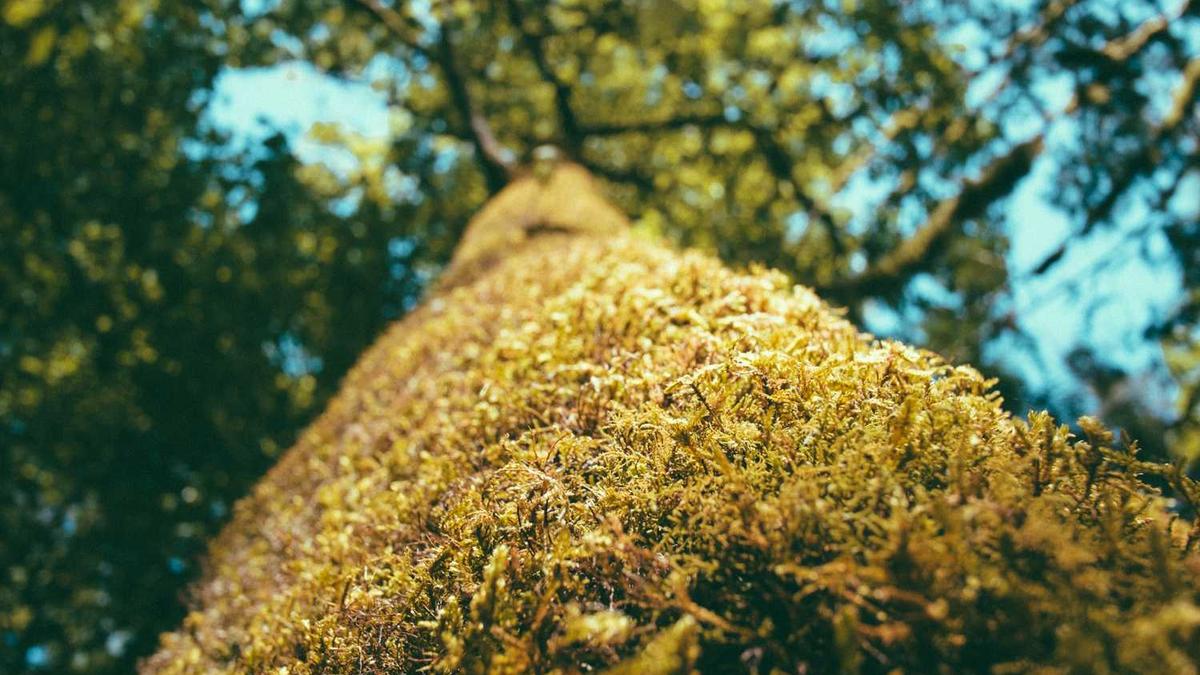 江西南昌是外省还是本地