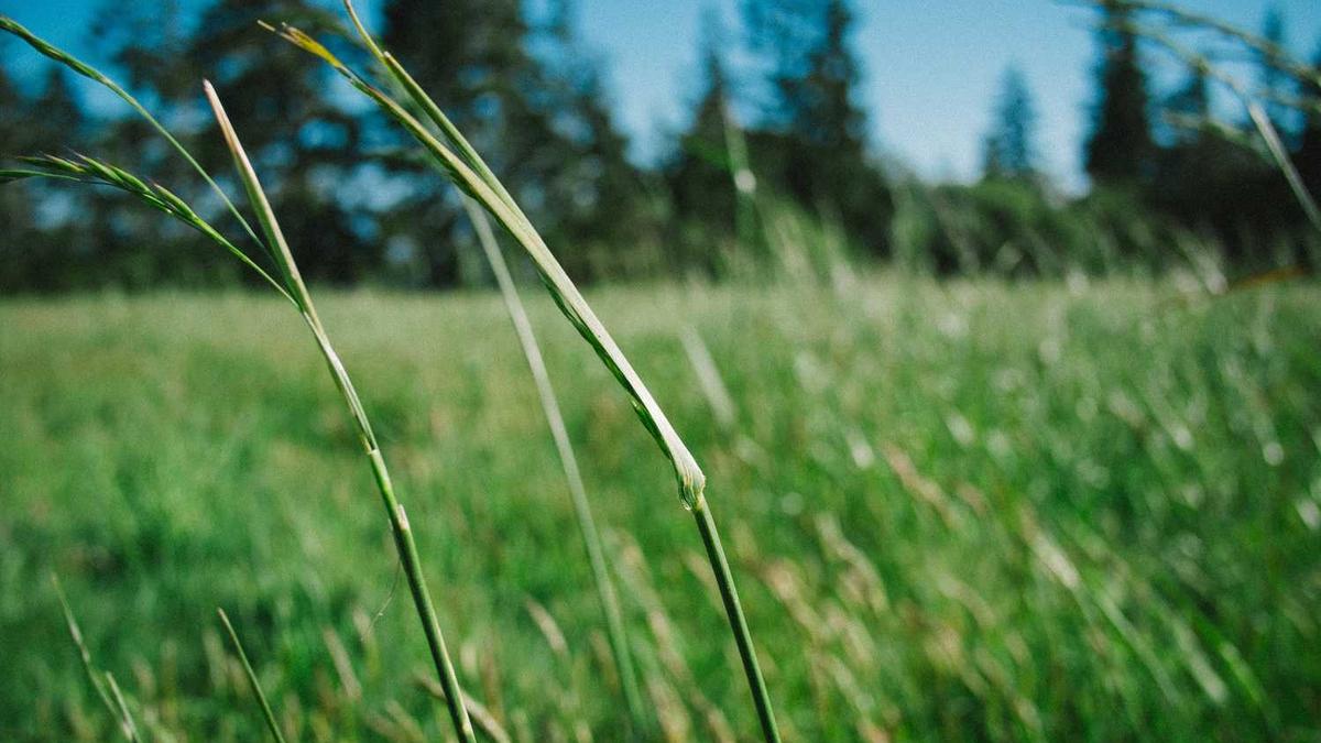 江苏泰州和泰兴是一个地方吗