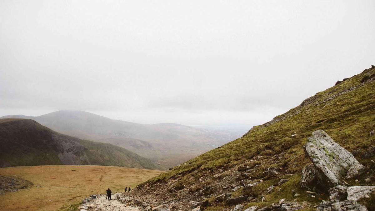 广东省佛山市现任市委领导简介