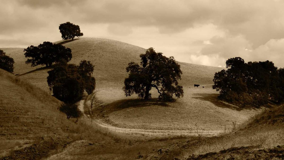 沧州旅游必去十大景点推荐