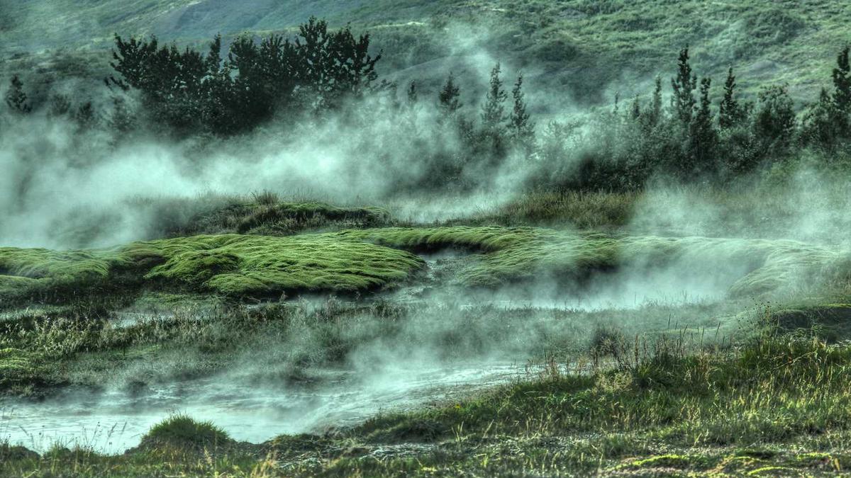 合肥哪个区随迁子女学校比较好