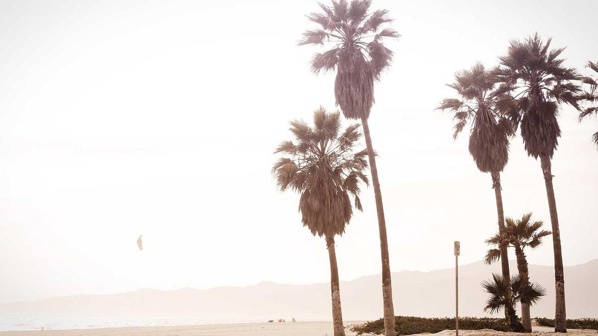 在雅安从事网约车行业收入水平如何?