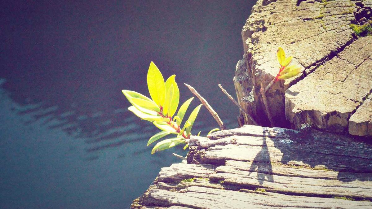 马拉松直通成绩对照表