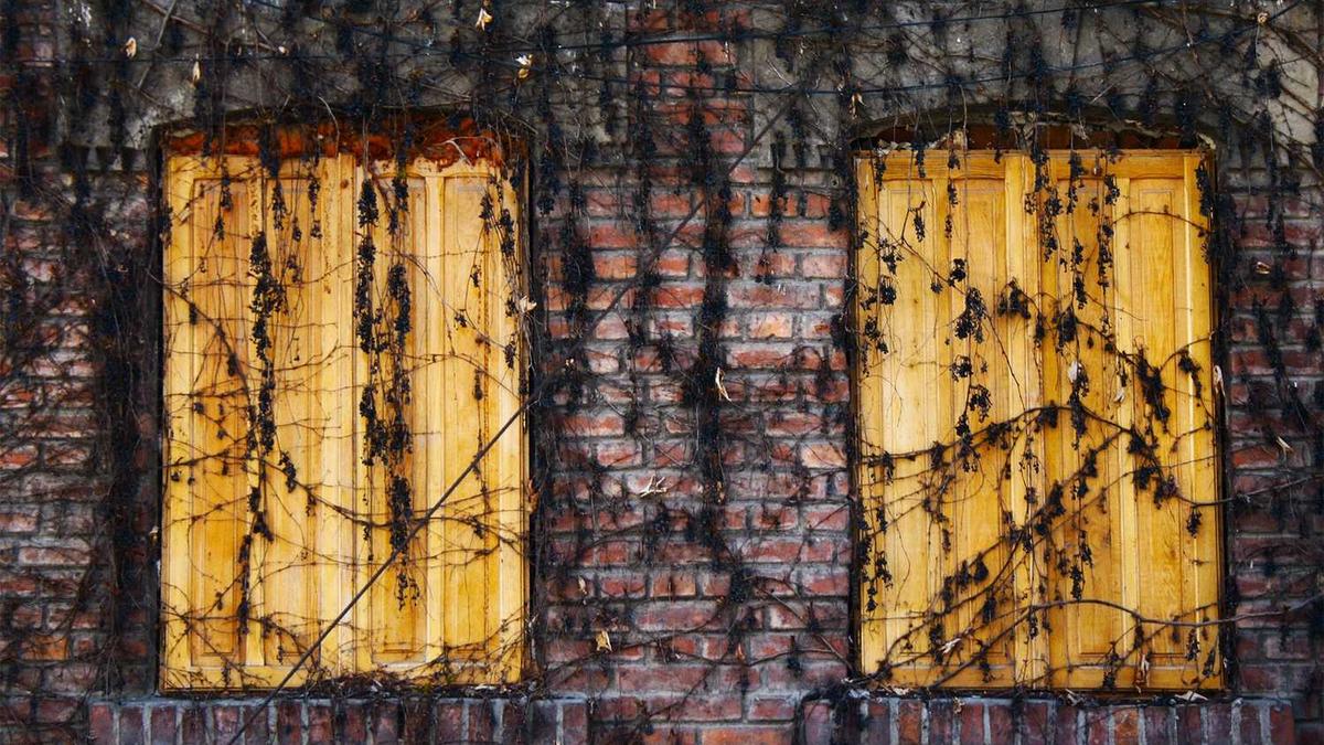 呼伦贝尔学院有哪几个校区