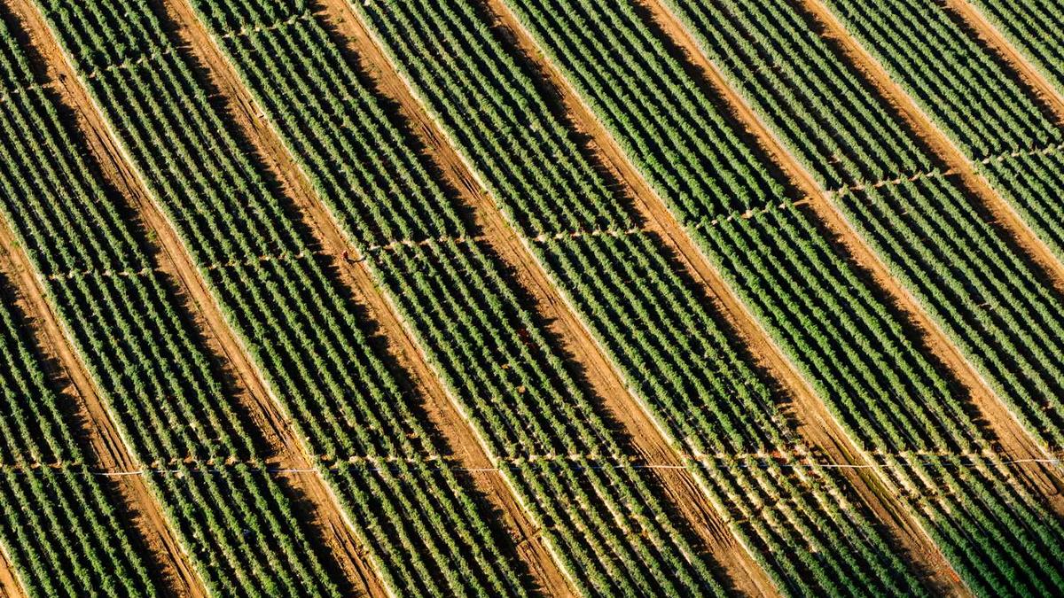 惠州明天天气预报几点下雨
