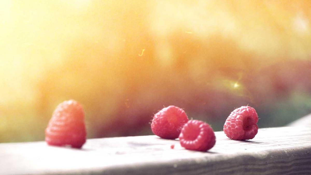 丽水的莲都小学好,还是刘英小学好